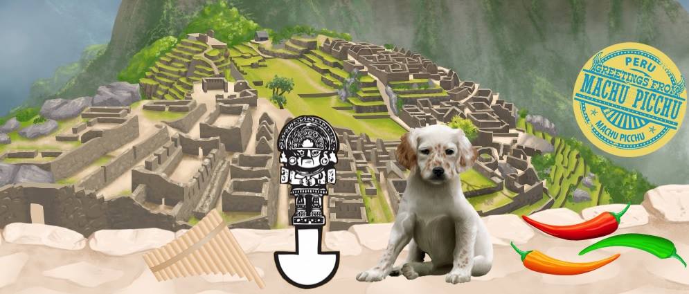 Dogzer.com