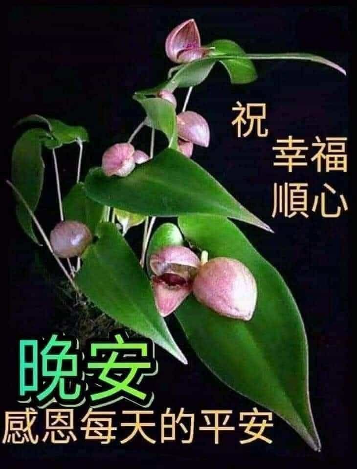 嗨～你好！早安 午安 晚安美圖分享 | 💞#朋友們週末晚安舒心好眠💞 | Facebook