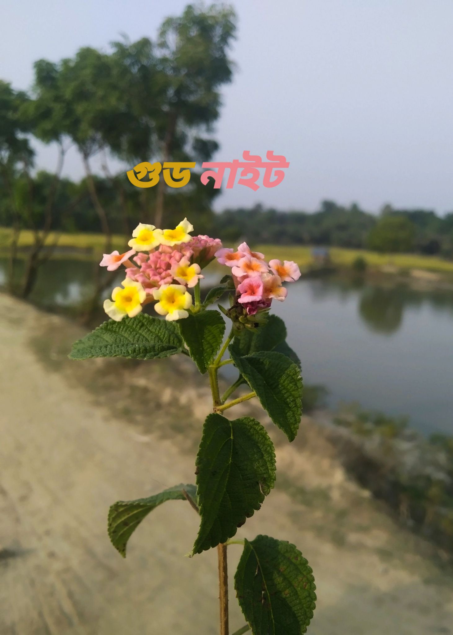Humayun Kabir Raza