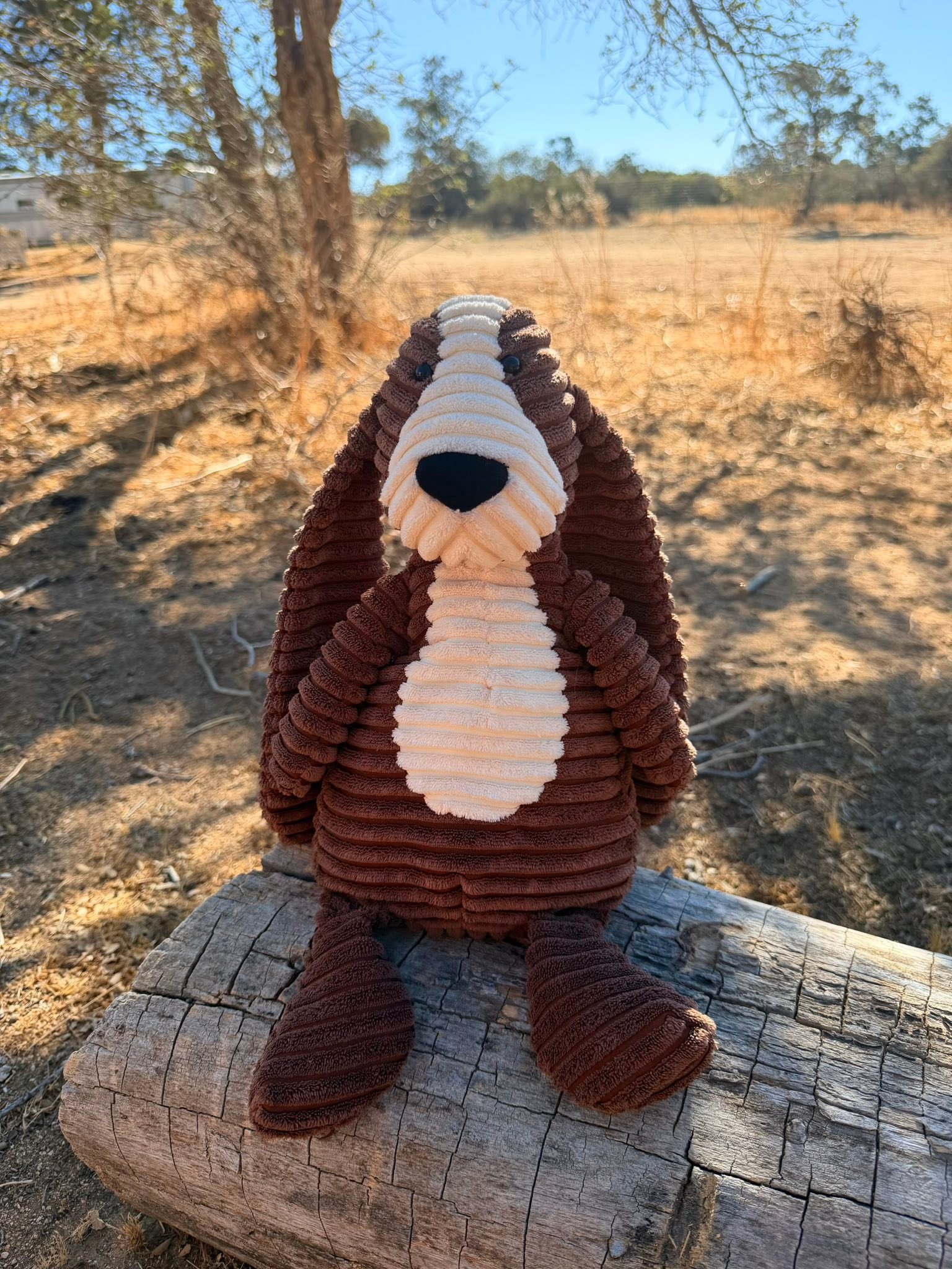Jellycat Cordy Roy hound dog collectible