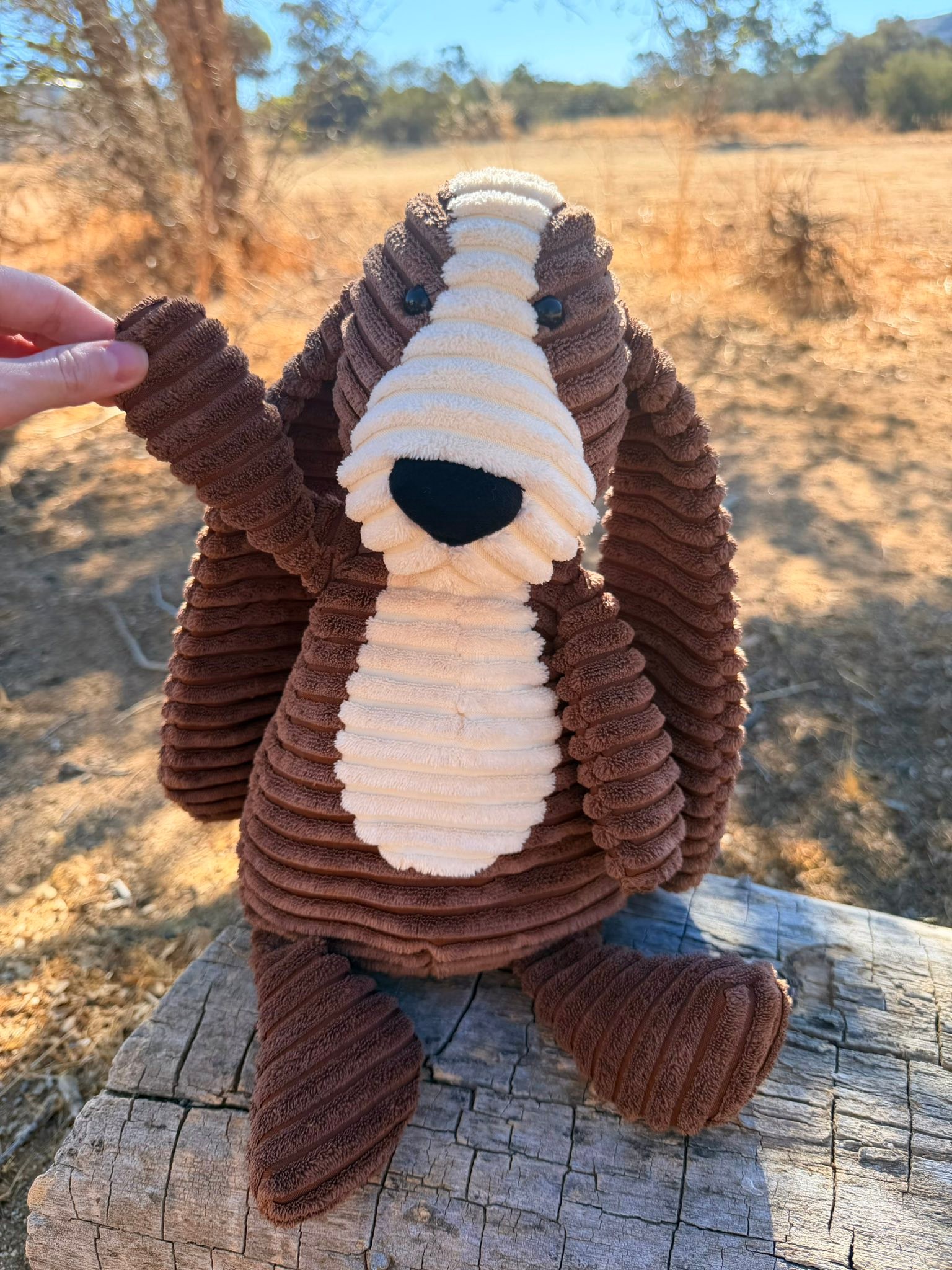 Jellycat Cordy Roy hound dog collectible