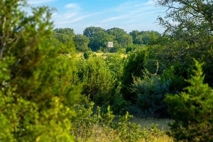 Shipley Ranches | Austin TX