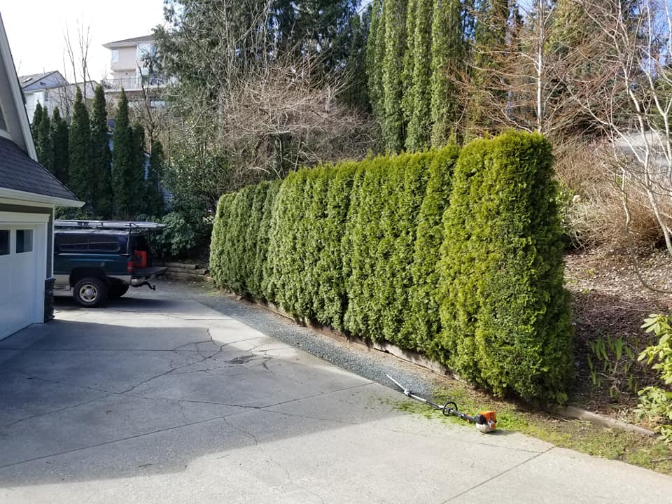 Drake Landscaping Inc.