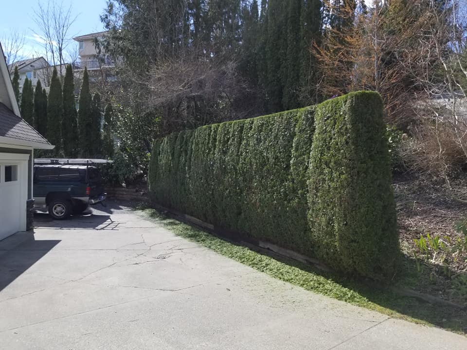 Drake Landscaping Inc.