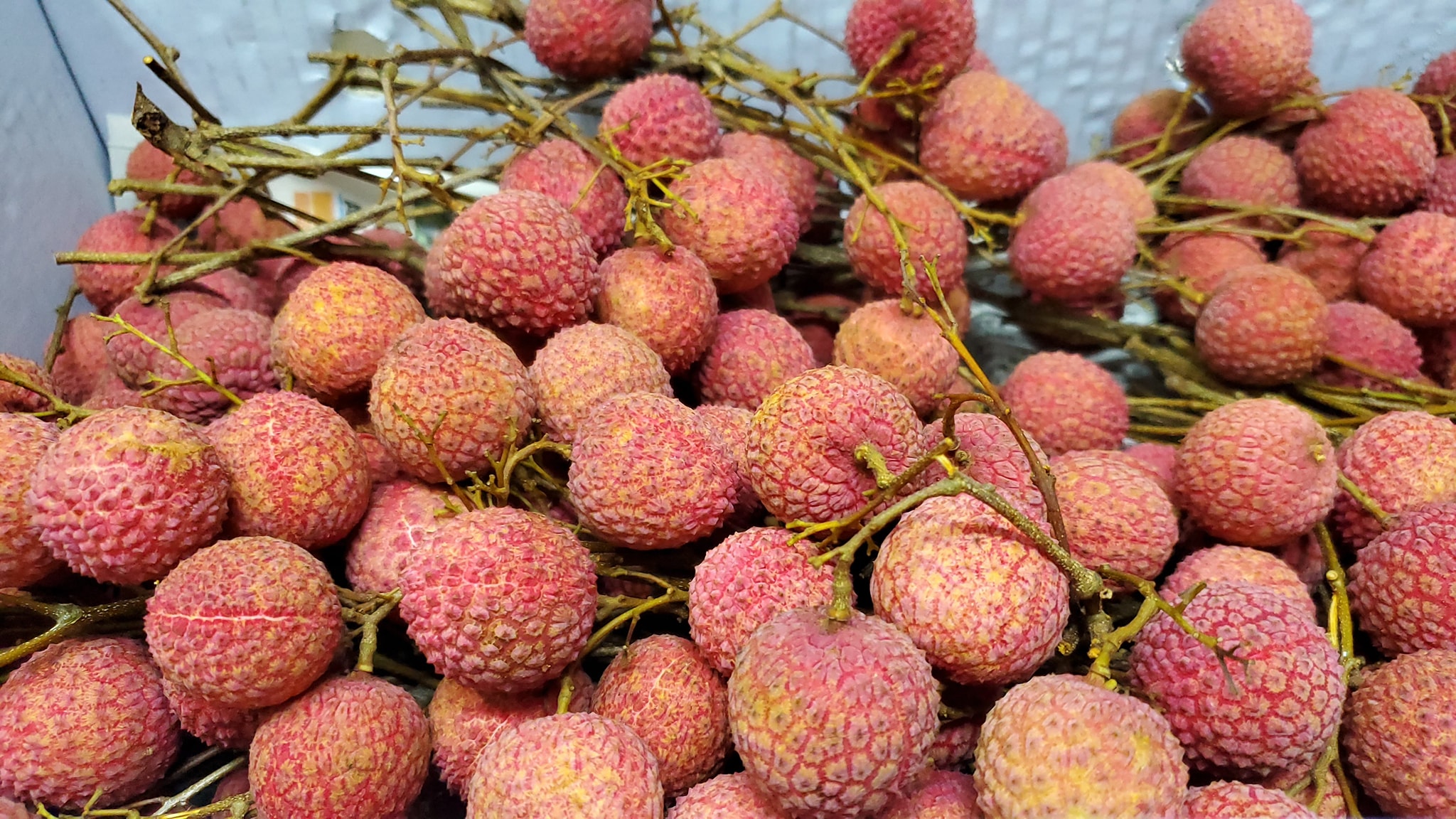 台灣《正》好玩 - 糯米糍（糯米荔枝） 台灣就是水果王國 荔枝品種很多，今天我介紹的是…… 糯米荔枝...