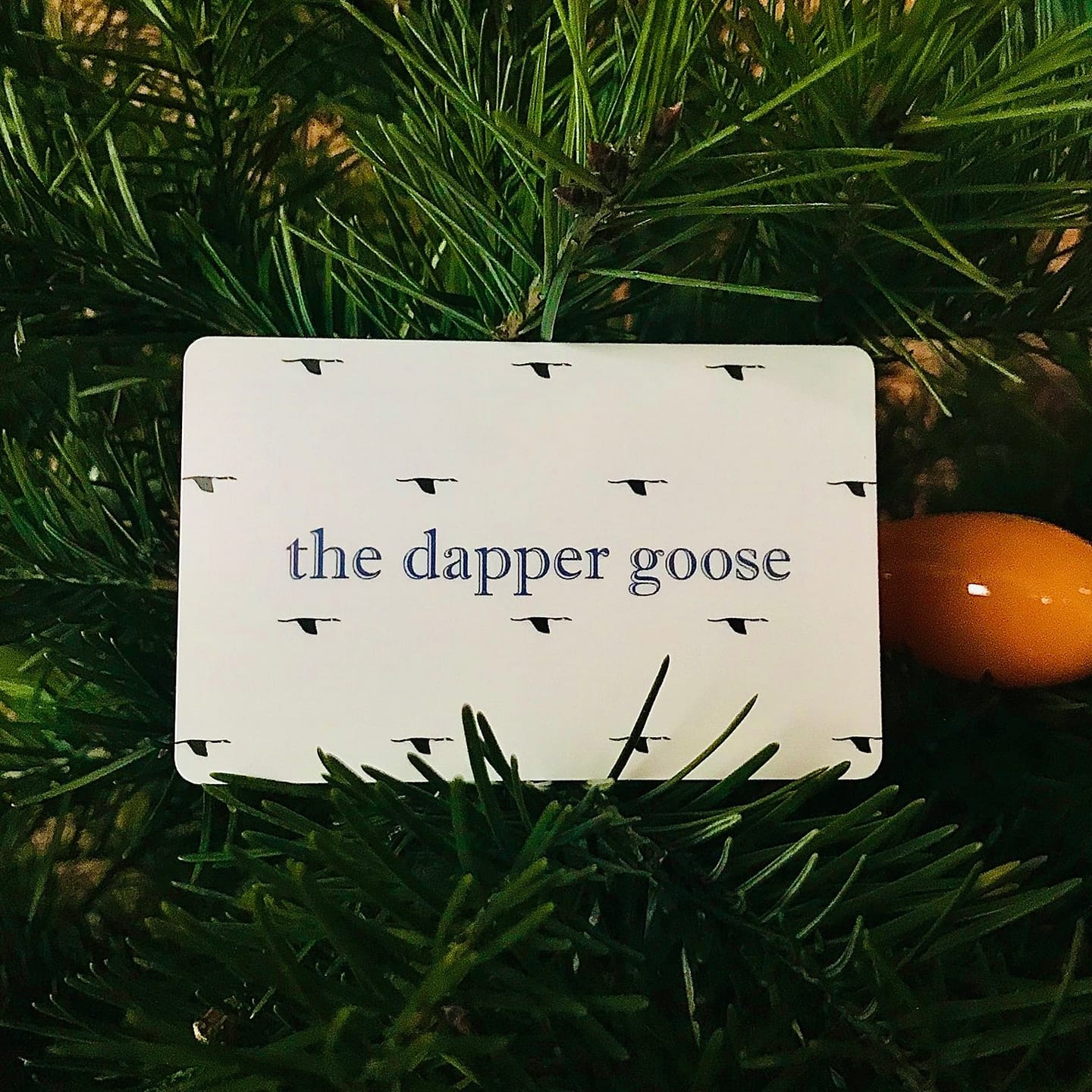 The Dapper Goose | Buffalo NY