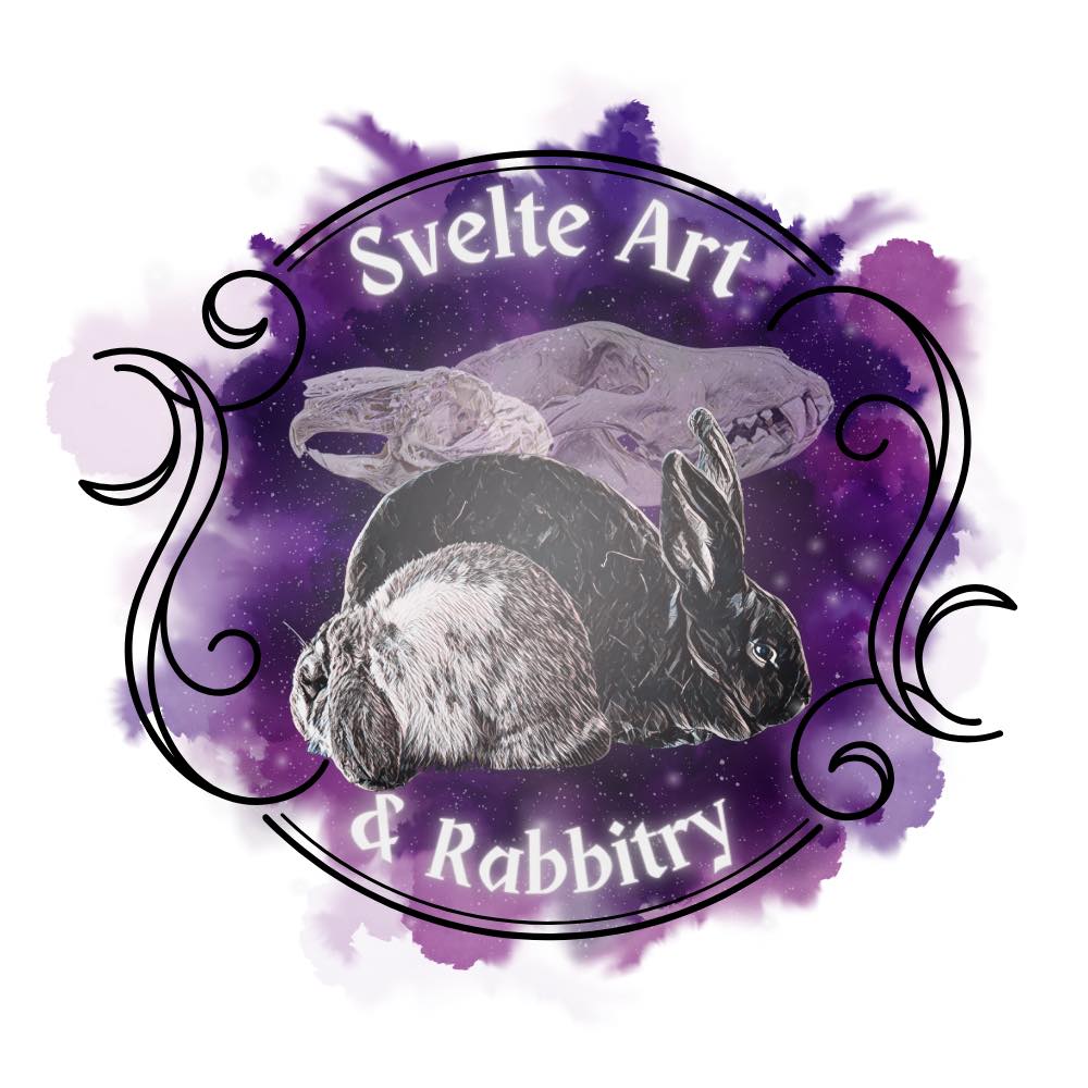 So excited for this little beauty Penny Rabb | Svelte Rabbitry
