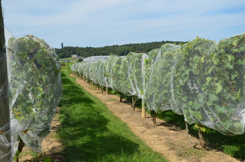 Agrow Plastics