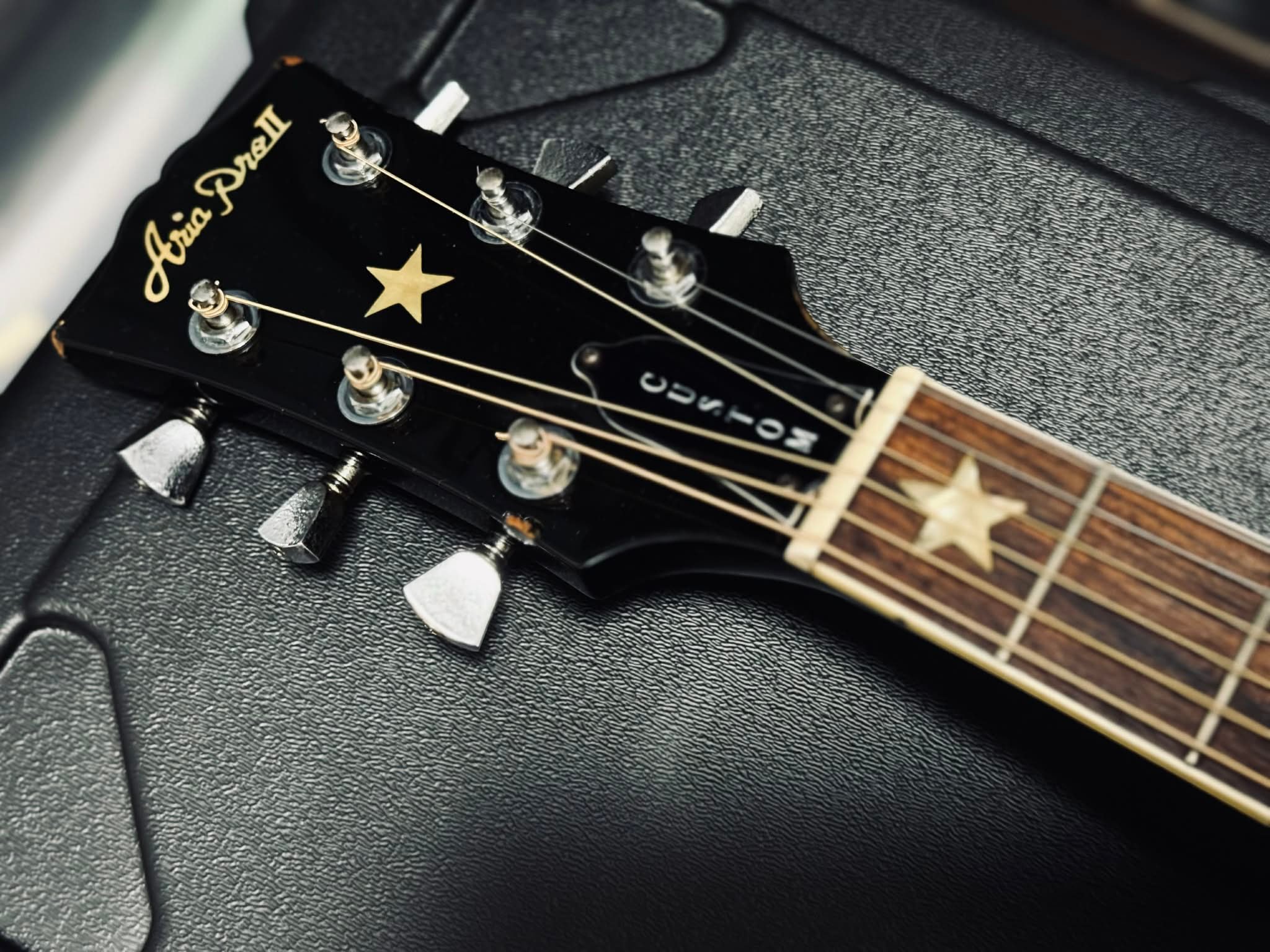 What is the story behind the Aria SW-40 acoustic guitar?
