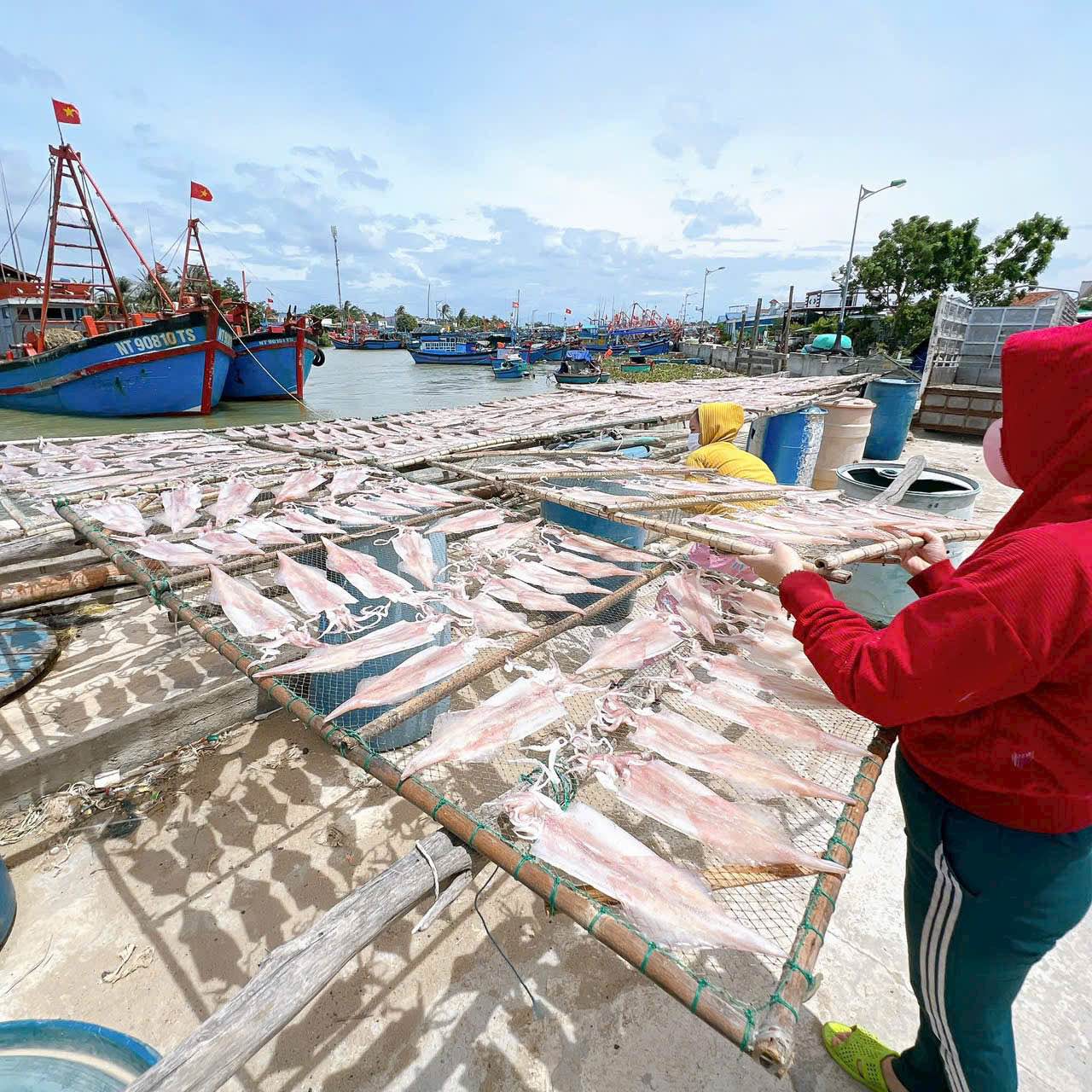 Phan Rang Đặc Sản Đặc Thù | Mực 1 nắng 350k/kg 4 con Lh0908443192 ...