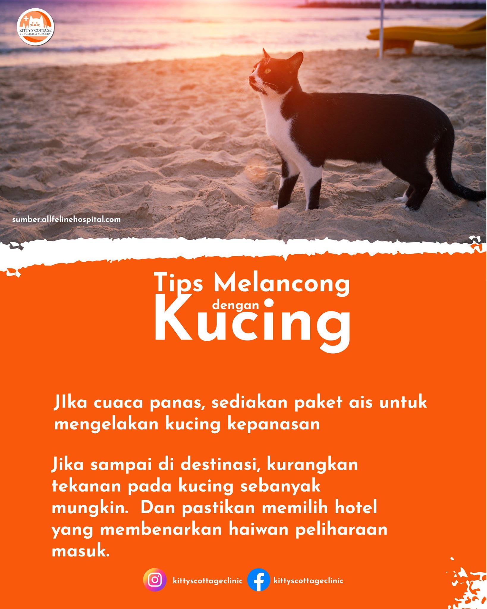Kitty S Cottage Klinik Haiwan Surgeri Klang Facebook