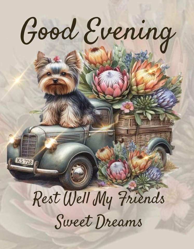 Good Evening KS728 728 KS Rest Well My Friends Sweet Dreams