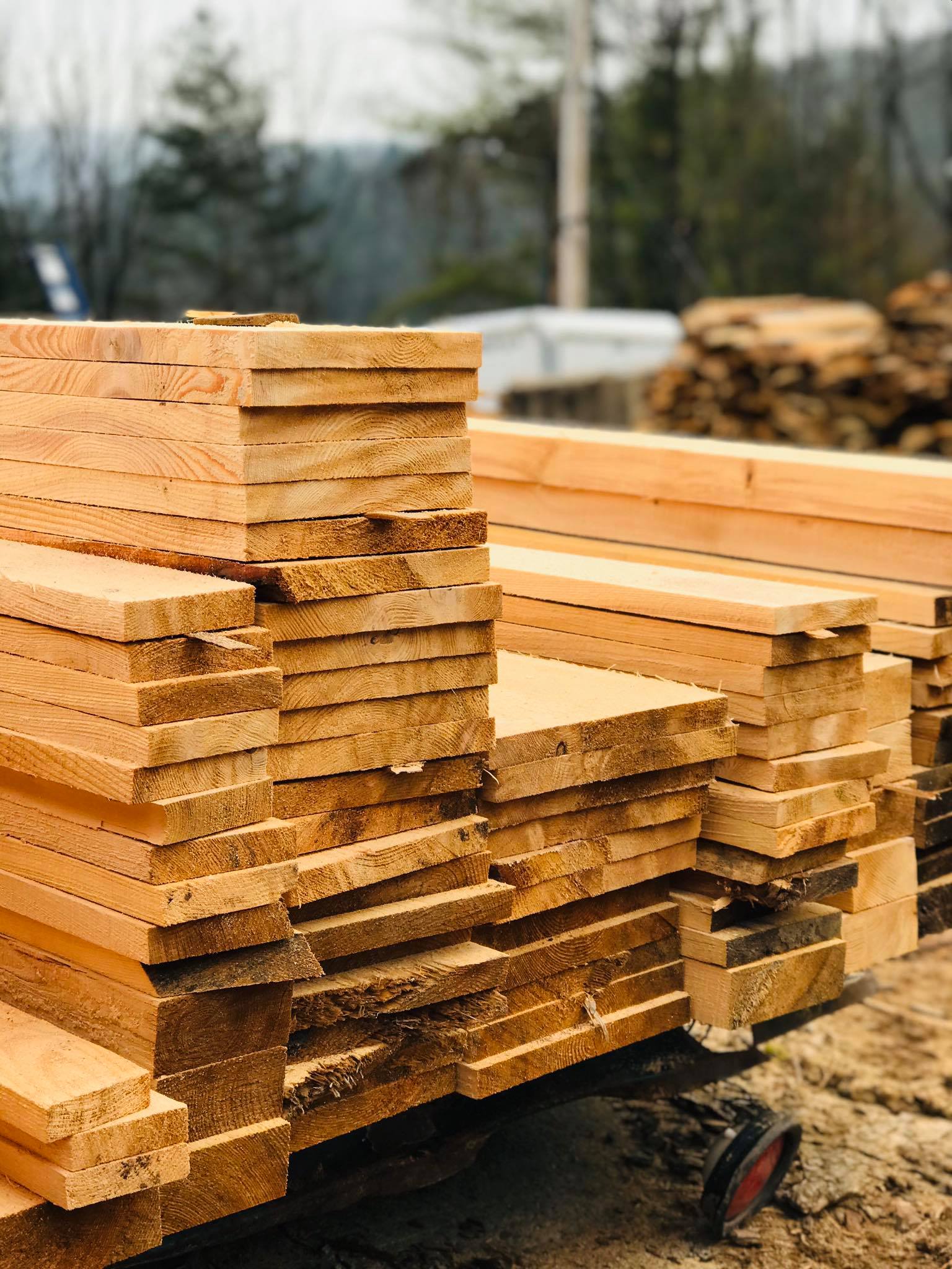 Sitemapcdatahttpautocellcare1comironwood Acres Timber Harvest