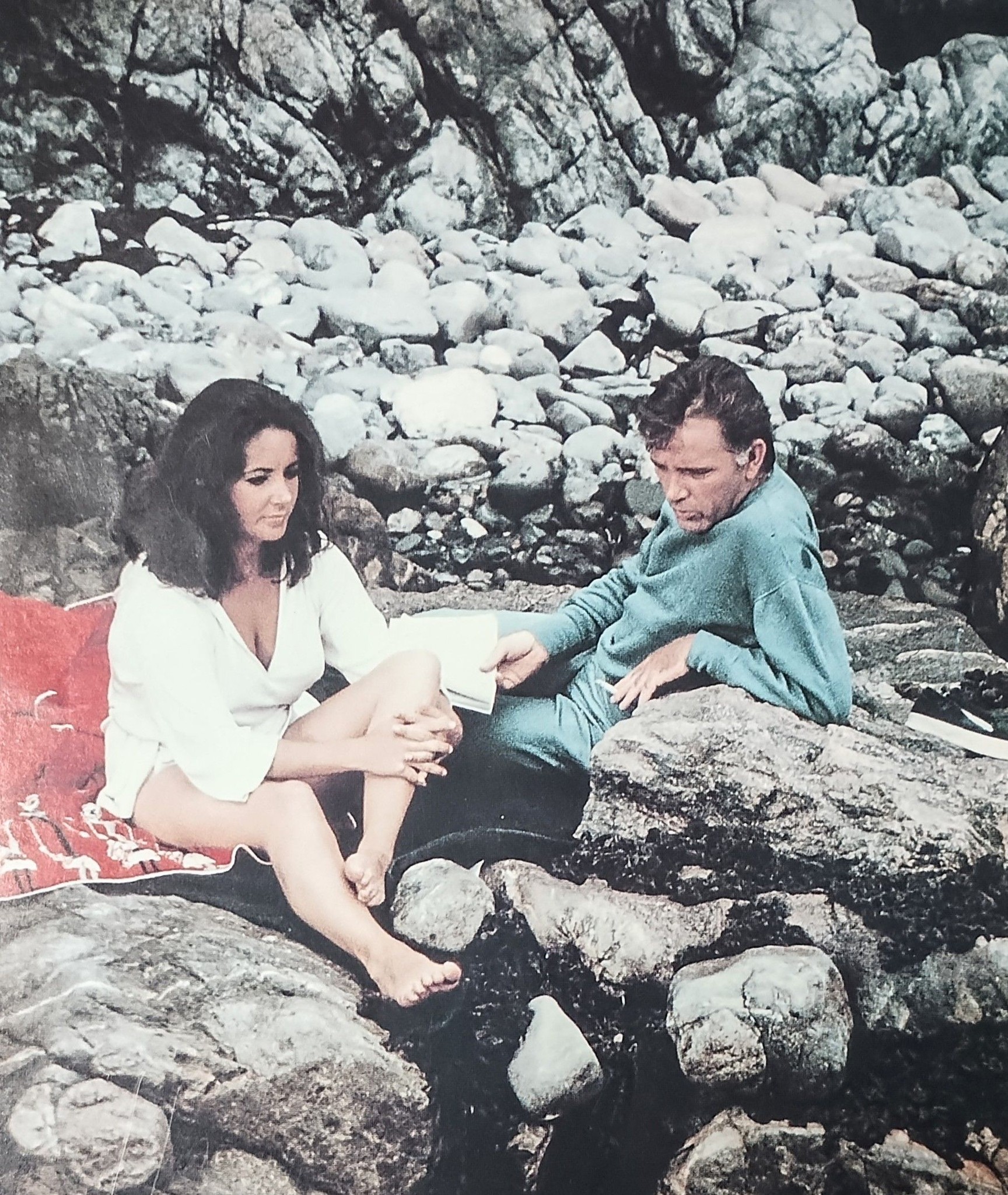 いそしぎ》 1965年、エリザベス・テイラーとリチャード・バートンの 