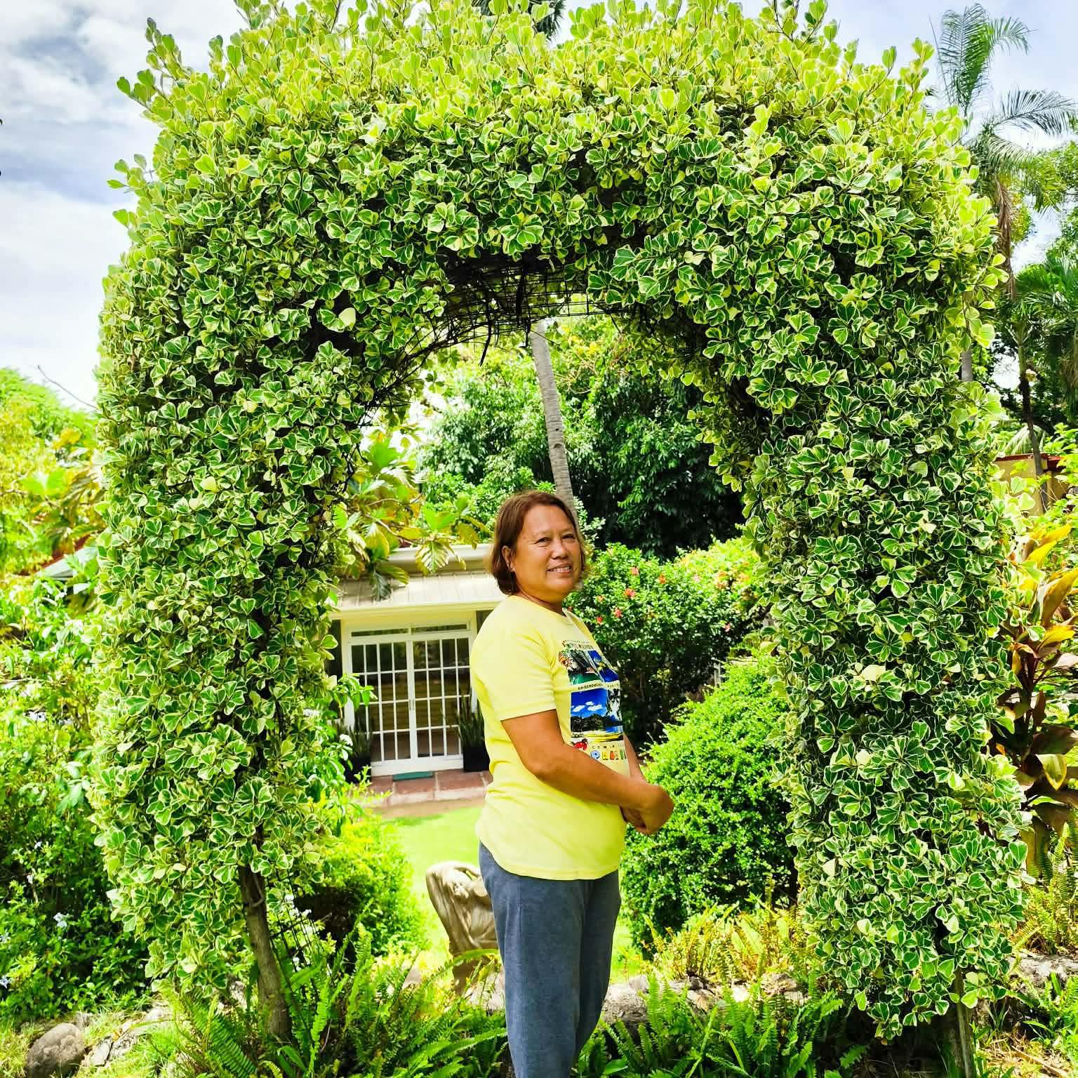 Morning exercise dw | Arlene Raagas