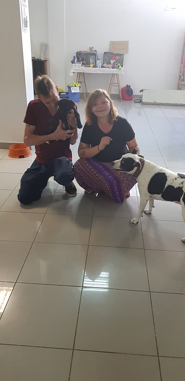 Daisy se fue adoptada con Mathias... - Help Fuerteventura