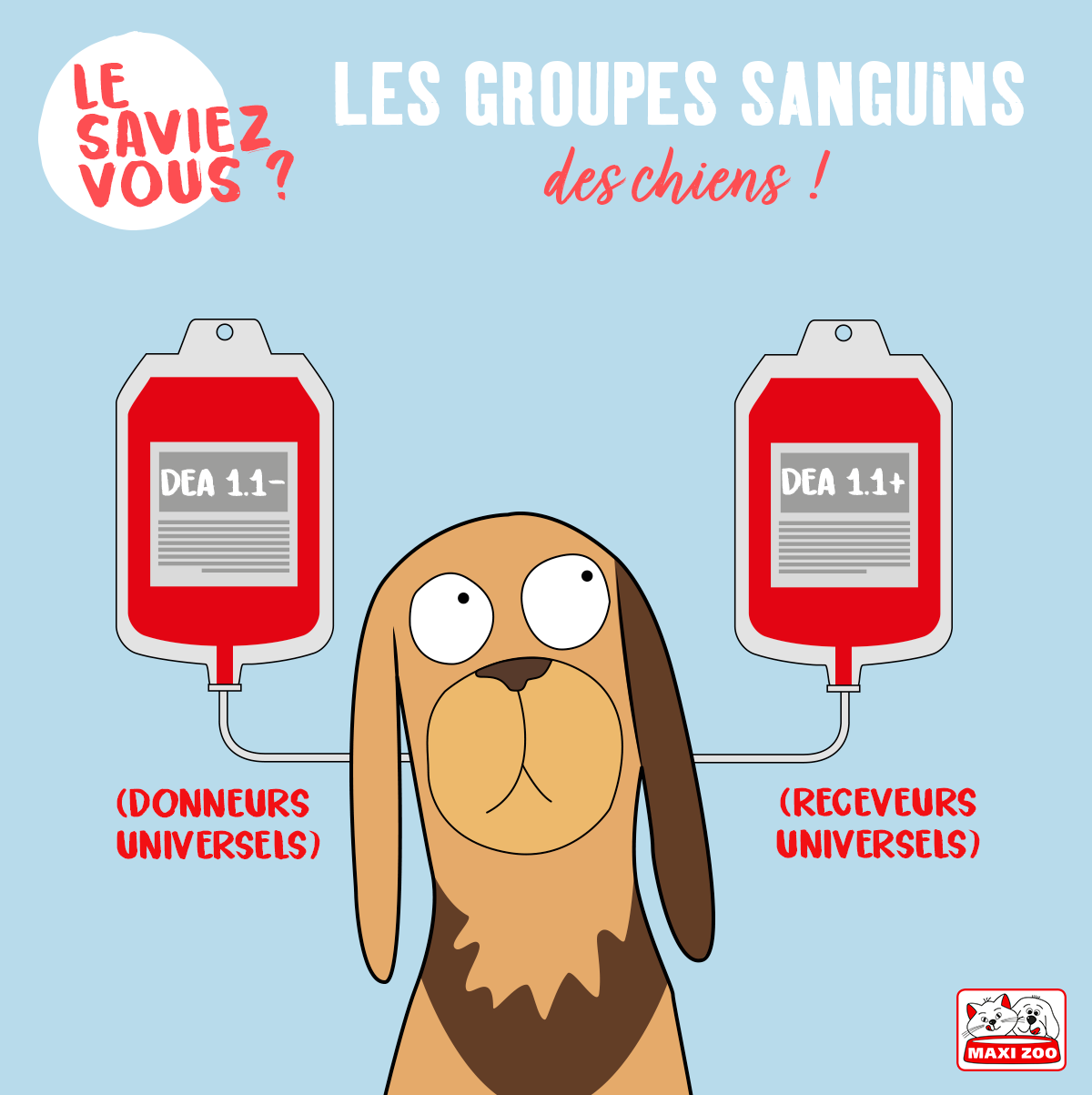 Maxi Zoo France Publications Facebook