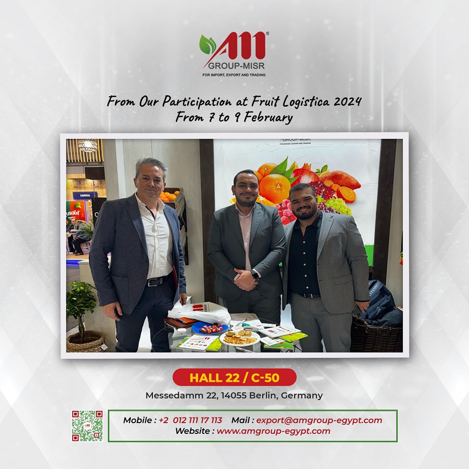 AM Group Misr | Cairo