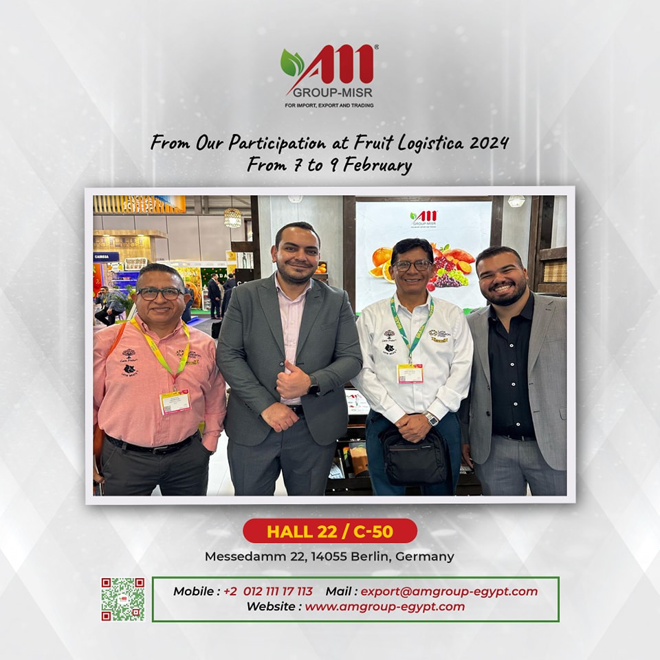 AM Group Misr | Cairo
