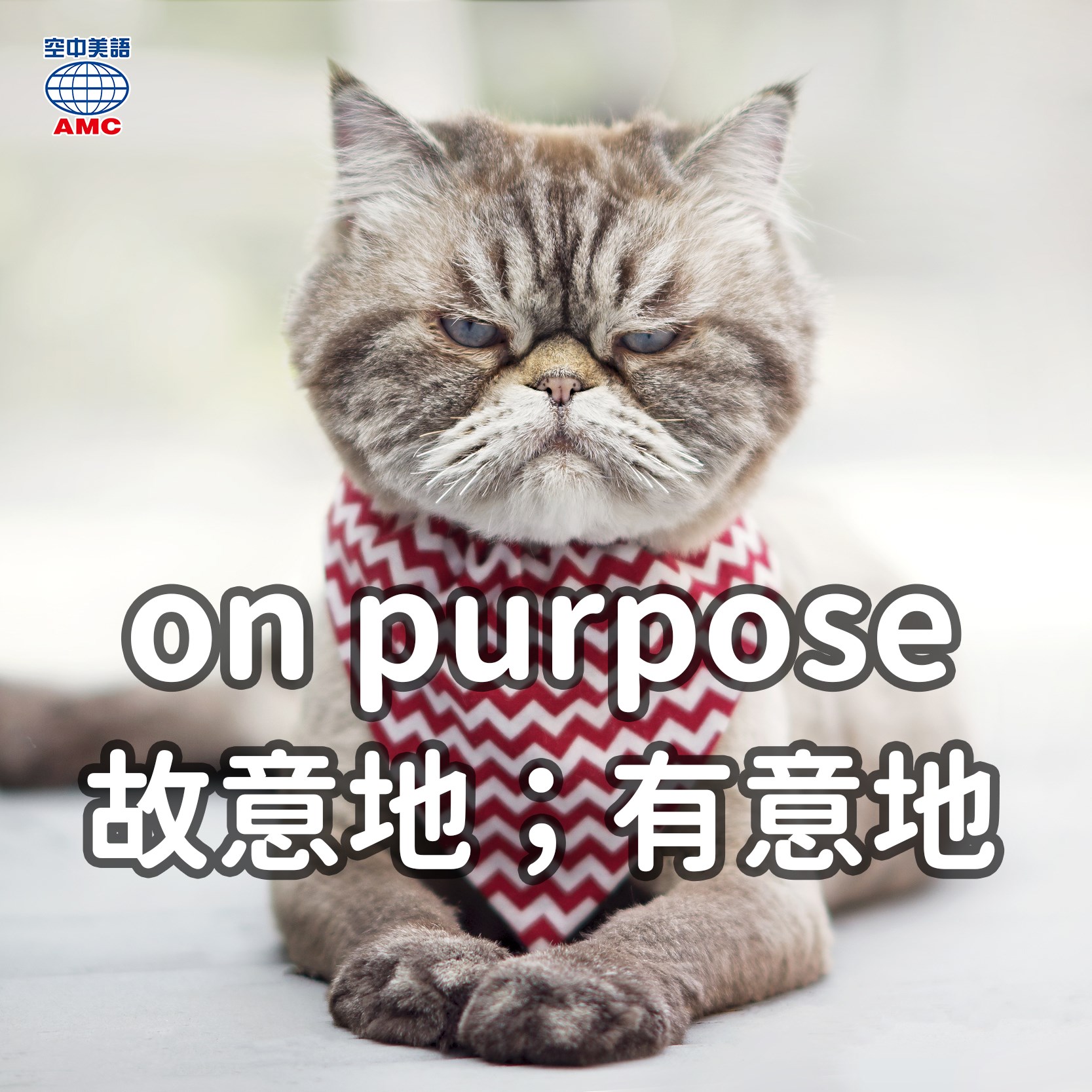English - 今天來介紹英文單字「purpose」👉為名詞「意圖；目的」的意思，而它的片語「on purpose」則為「故意、有意為之 ...
