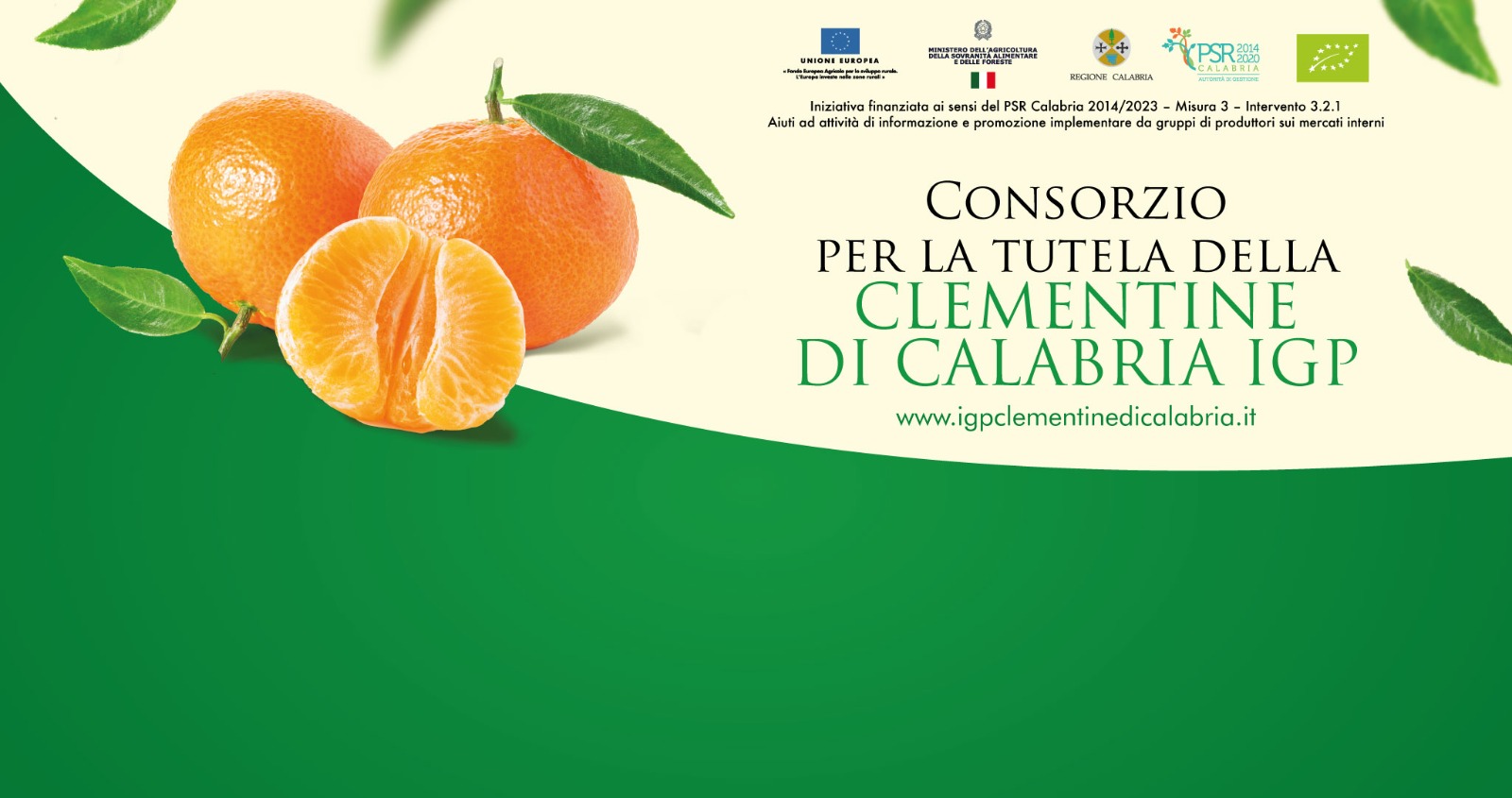 Consorzio IGP Clementine di Calabria