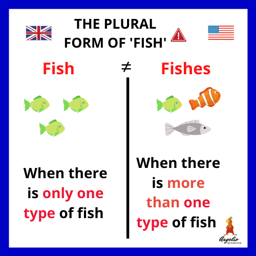 Angelio Academia Hey Do You Know Why Fish Don T Do Well On School Tests Because They Work Below C Level Anyway Here S The Difference Between Fish And Fishes Facebook