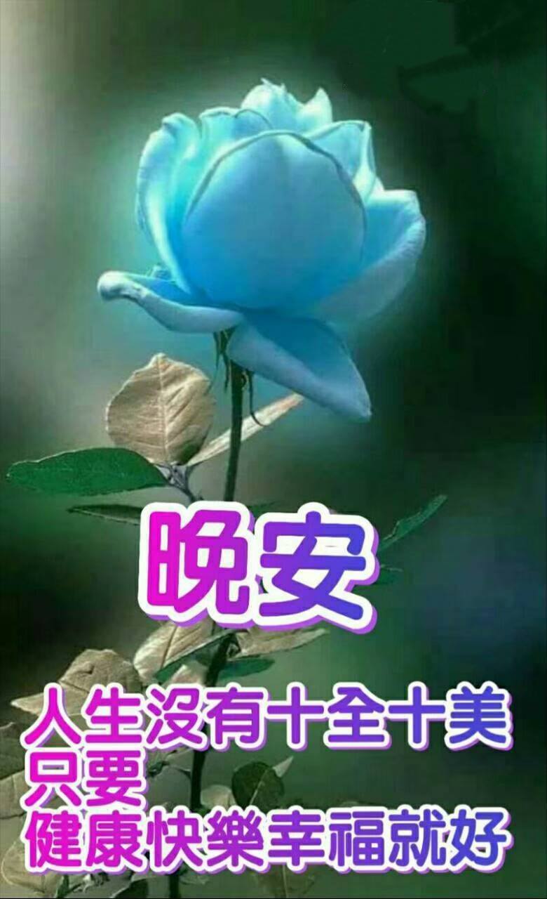 嗨～你好！早安 午安 晚安美圖分享 | 🌷#朋友們週日晚安舒心好眠🌷 | Facebook