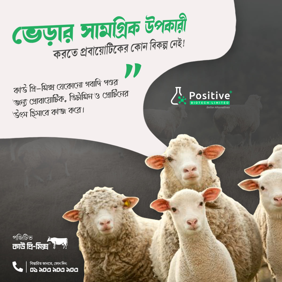 Positive Biotech Limited | Dhaka