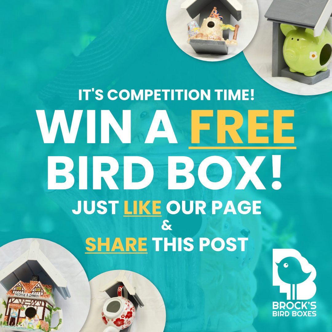 Brock's Bird Boxes