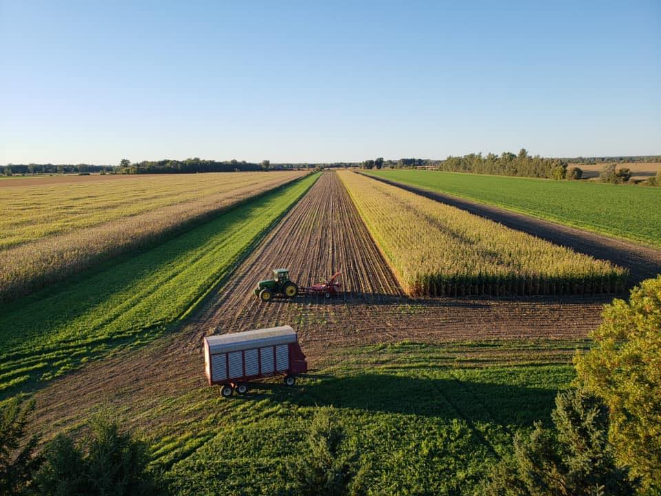 Ivandale Farm