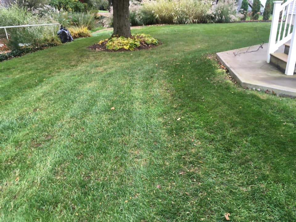 Grassbusters Landscaping LLC | Bristol CT