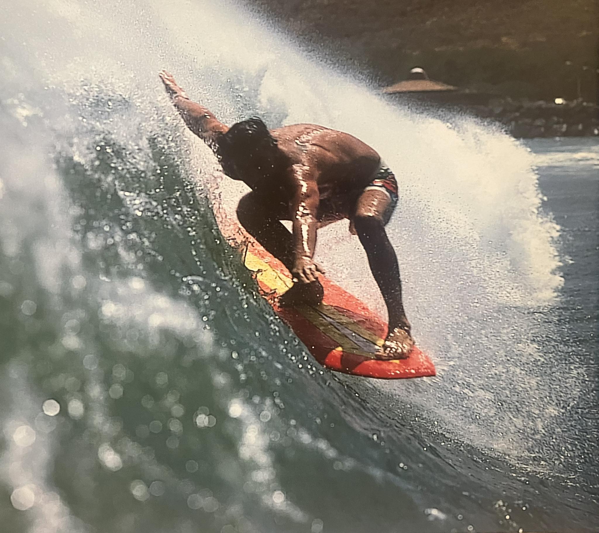 Fletcher family surf history and legacy