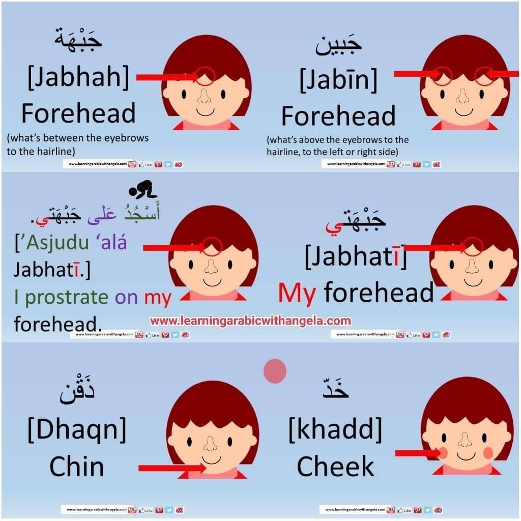 Body Parts. In Arabic there... - Learning Arabic With Angela | Facebook