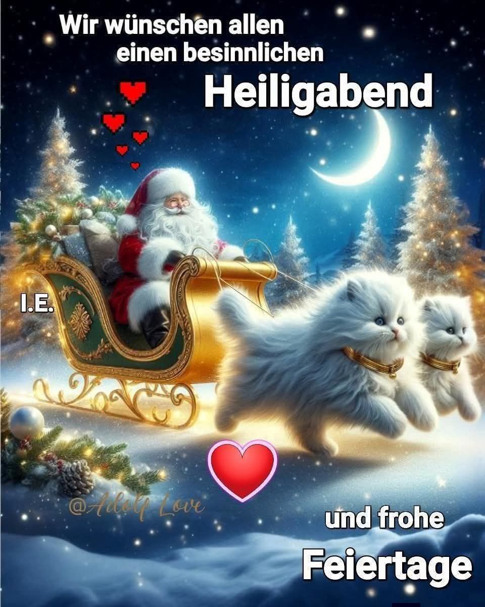 Stibi's Hundeparadies - Update: Kurzfristige Tombola für die Bestellung ...