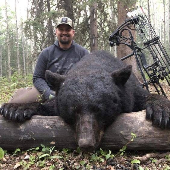 40 Hogs in One Trap – Huge Boar Captured | Watch as an incredible 40 ...