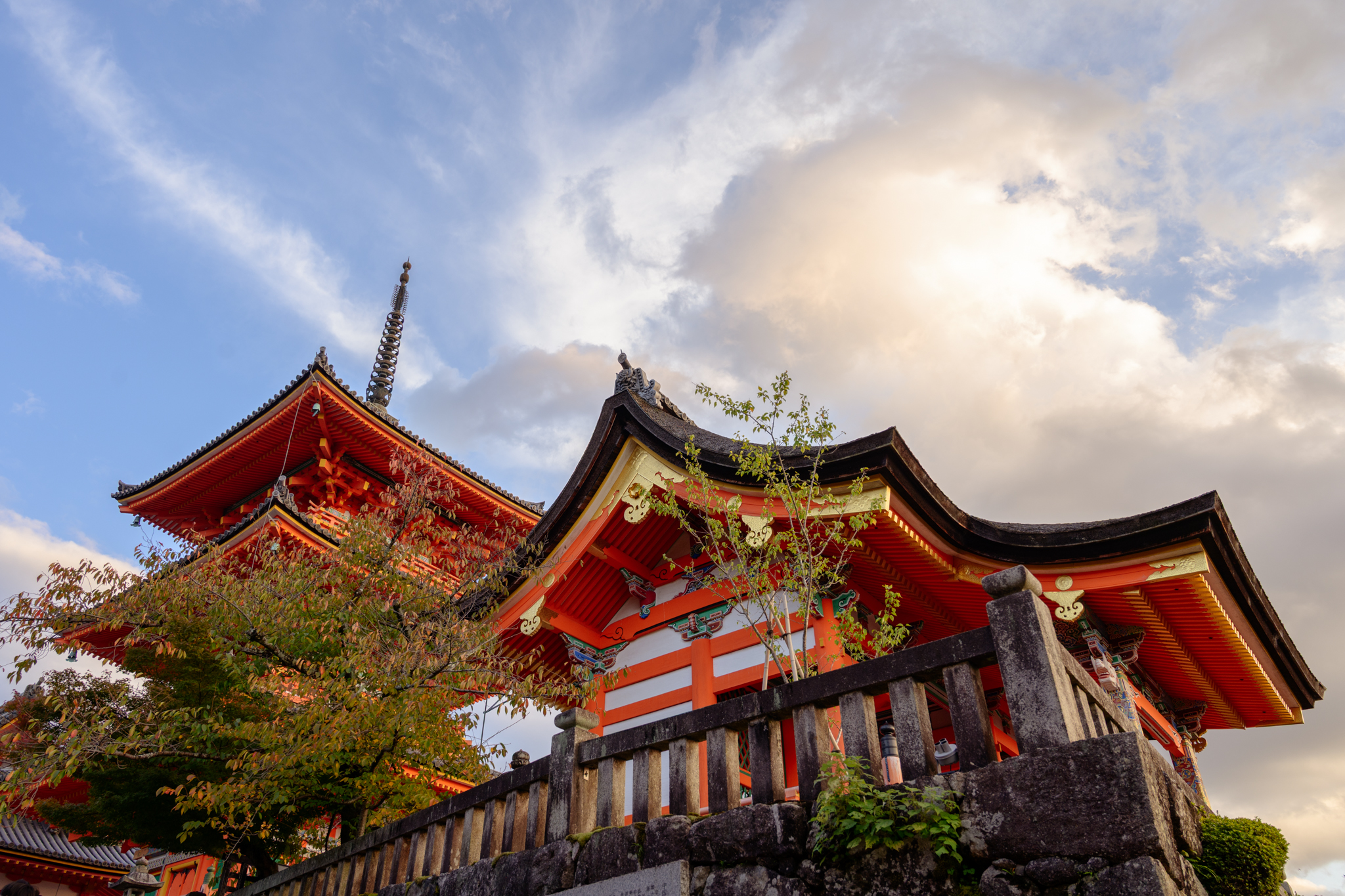 🇯🇵 Japan Diaries – Madness of Suzuka Circuit: Car Racing