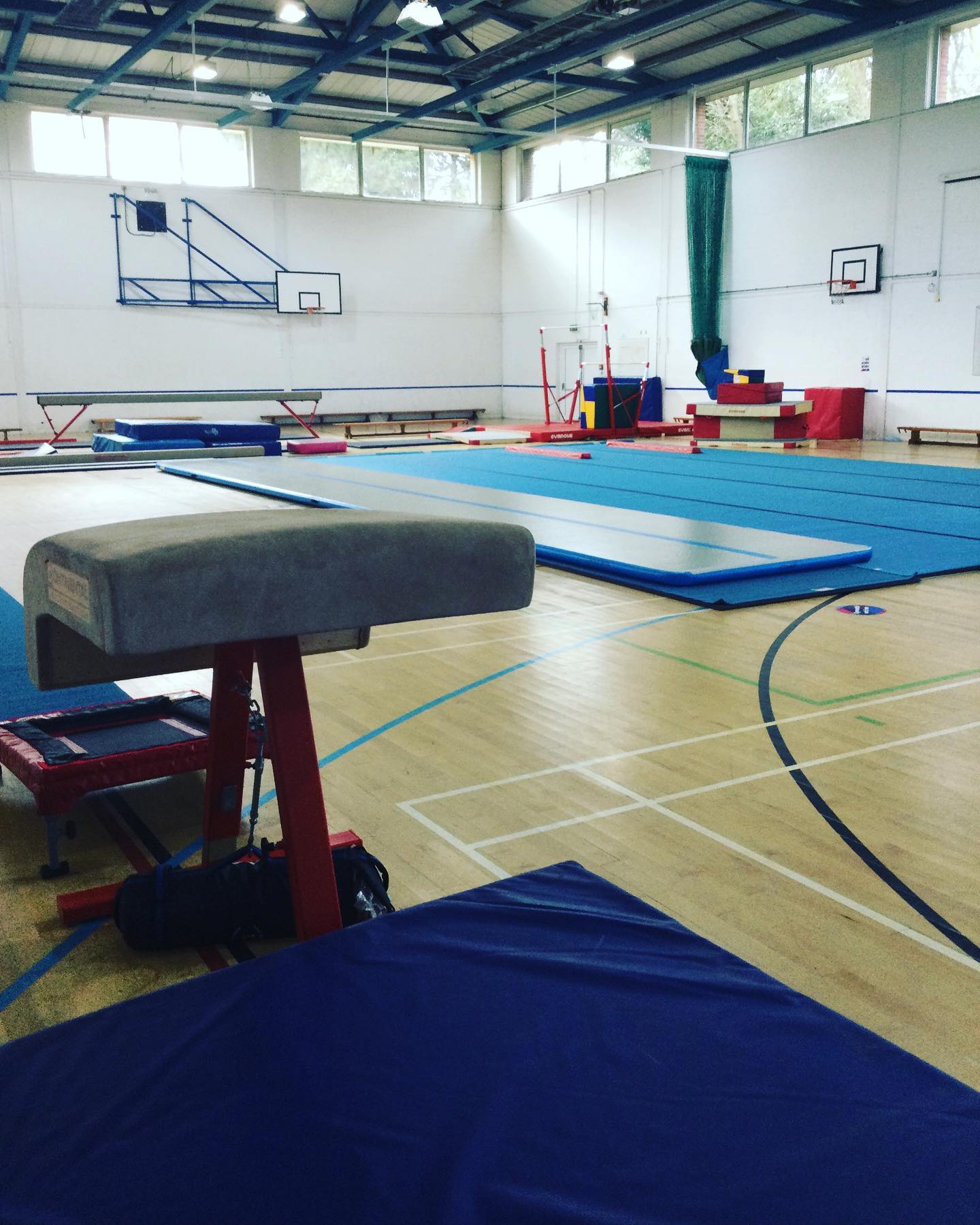 We have never been so excited to... - Vivace Gymnastics Club