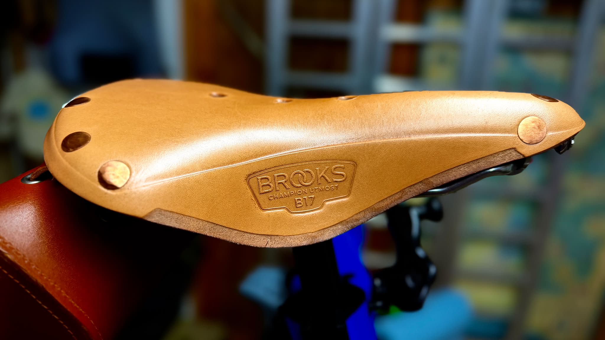 Brooks B17 Champion Utmost saddle first ride impressions