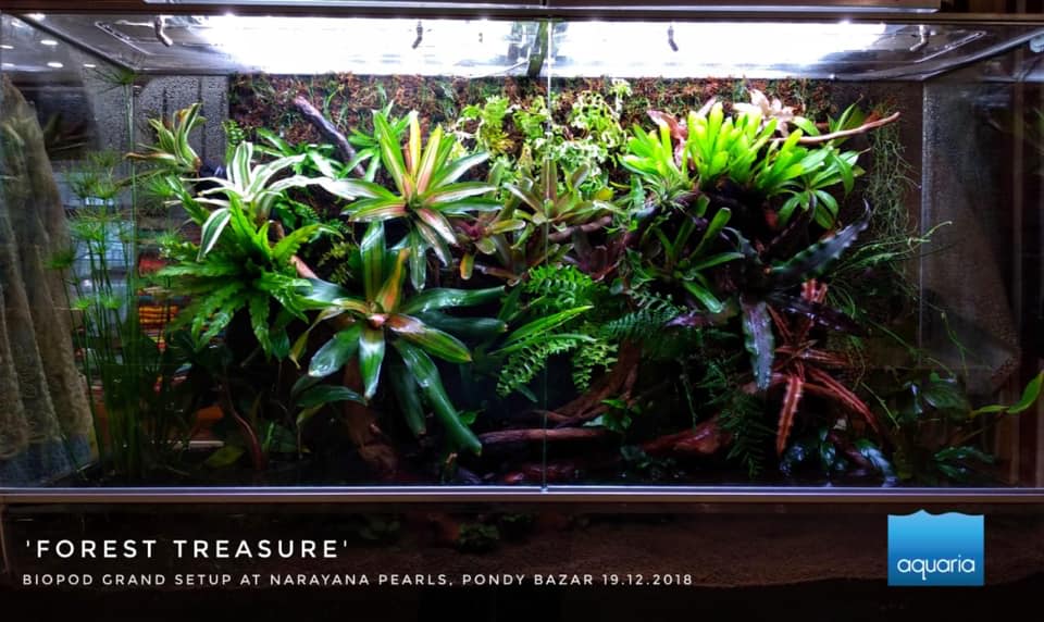 The alluring Biopod Grand at... - Biopod Smart Microhabitat | Facebook