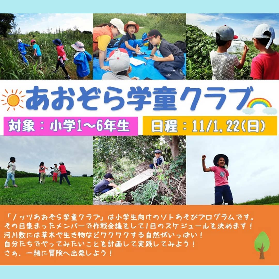 国際自然大学校 Nots あおぞら学童クラブ 9月に大好評だったプログラム 11月も開催が決定しましたー どんな遊びが展開されるかは 子どもたち次第 紹介動画はコチラ Https Www Youtube Com Watch V Uqowq5rnwy お申し込みは プロフィールのウェブ