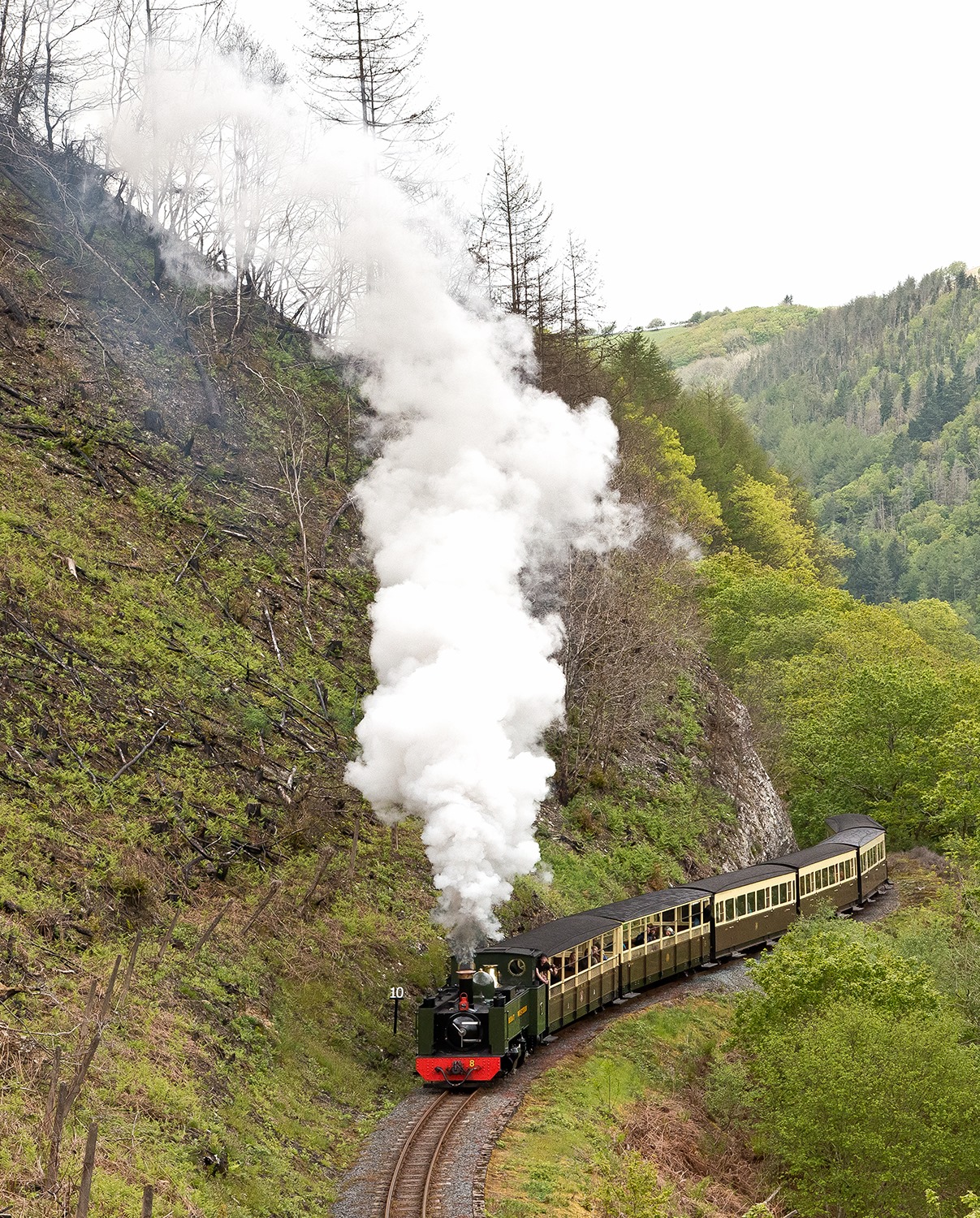 The train rounds curve and... - Vale of Rheidol Railway | Facebook