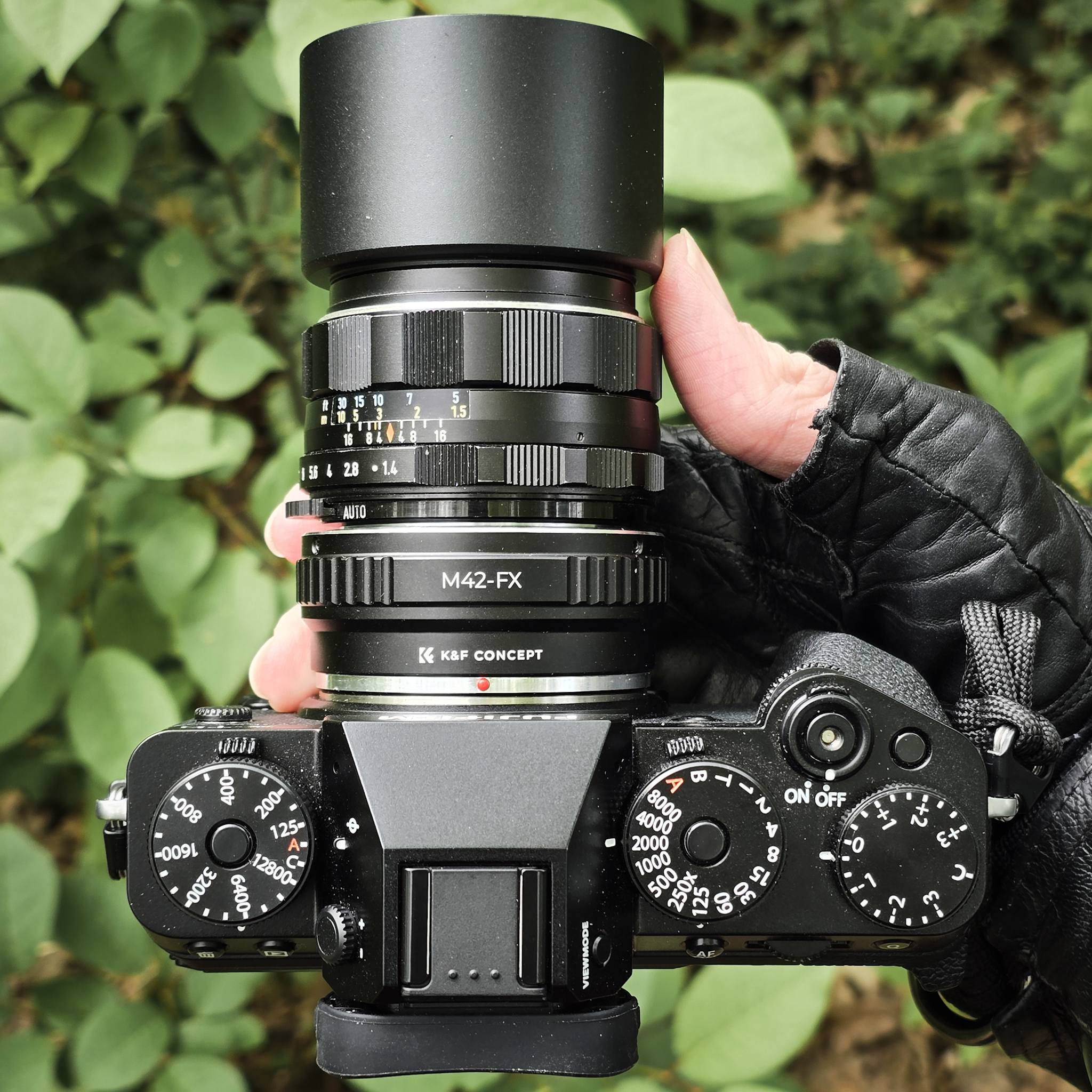 Pentax SMC Takumar 50mm f1.4 on Fuji xt5, my very favorite $5.00