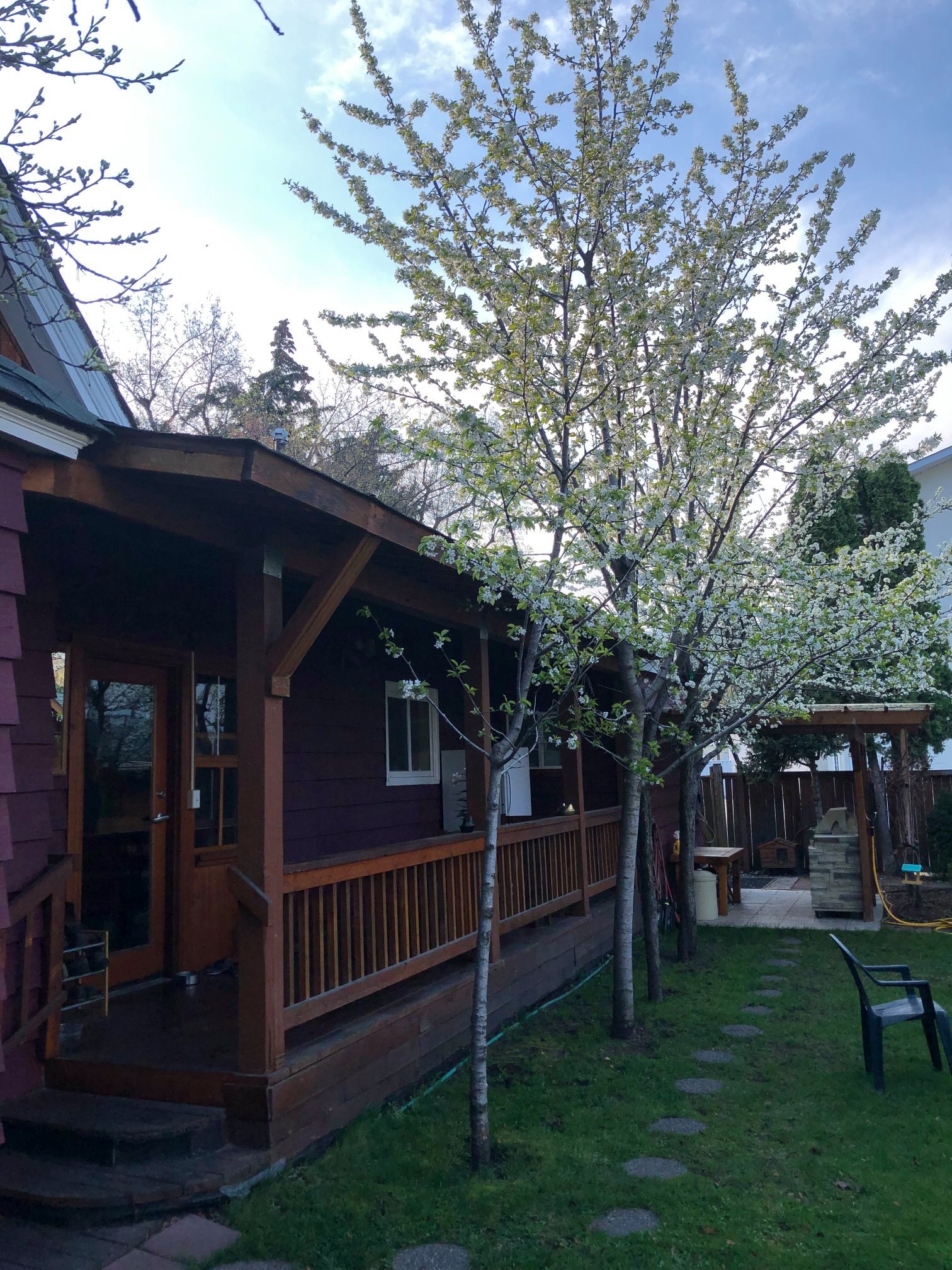 CASA LUNA B&B Grand Forks, BC, Canada - Posts | Facebook