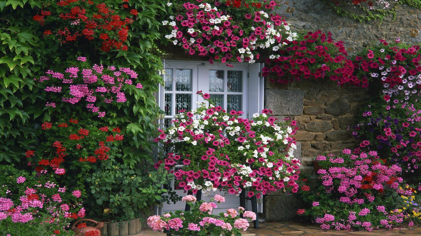 Coldspring Florist | Coldspring TX
