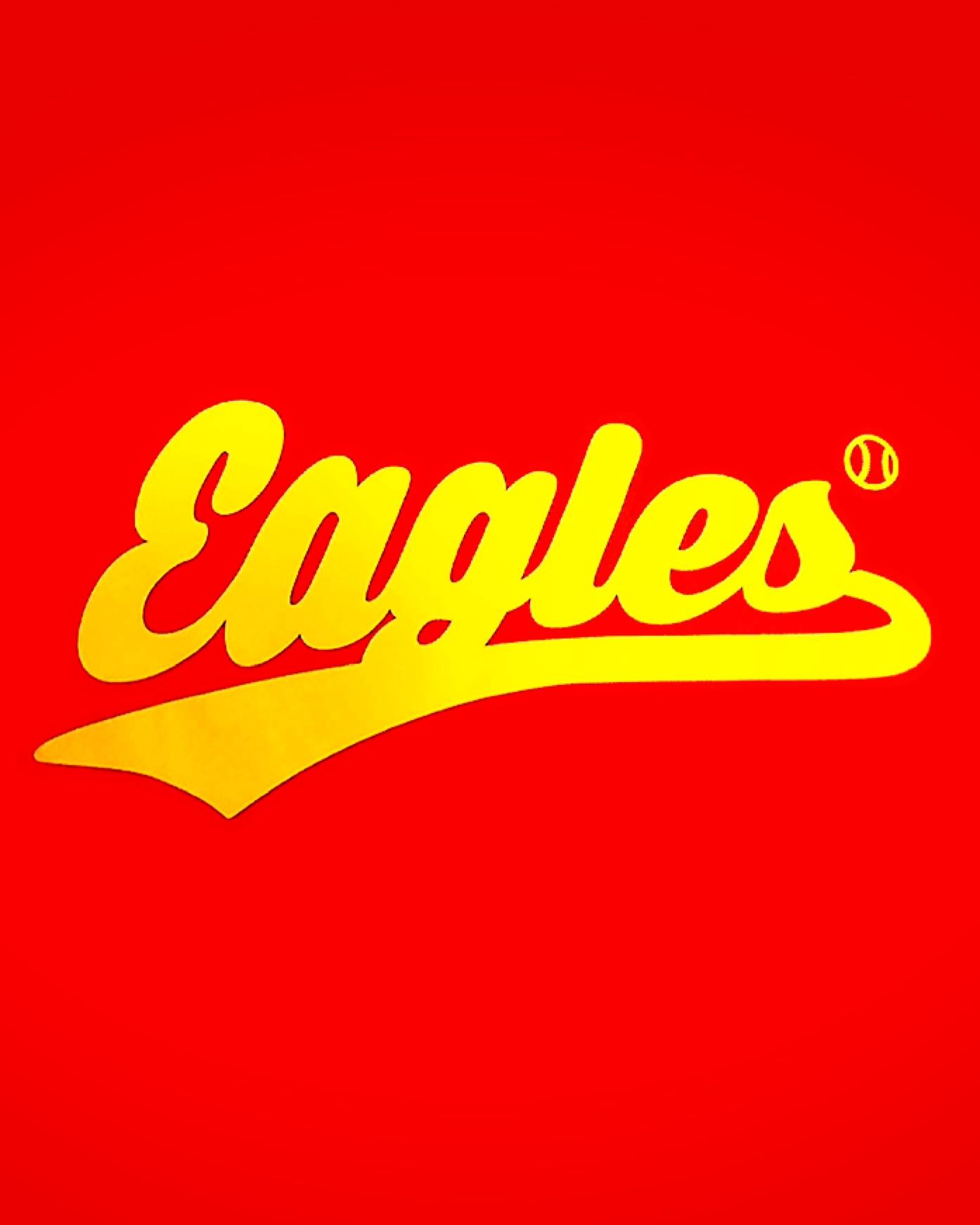 こんばんは🌛三郷北イーグルスです🦅 ⁡ Rg夏の県大会、Jrマクド予選、 Jr夏の郡山学童、5年生以下の大会予選 ⁡ たくさん試合がありますっ ...