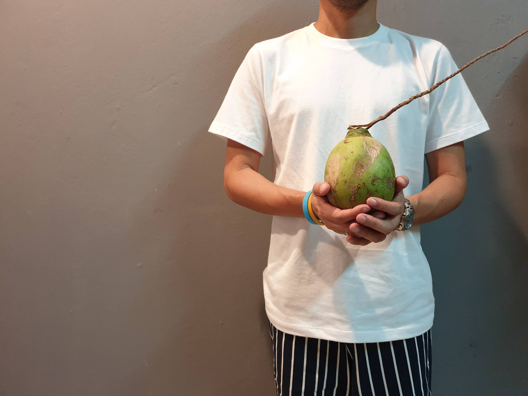 CHORB - หาวัตถุดิบเตรียมทำลายปัก Collection#2 🥥... | Facebook