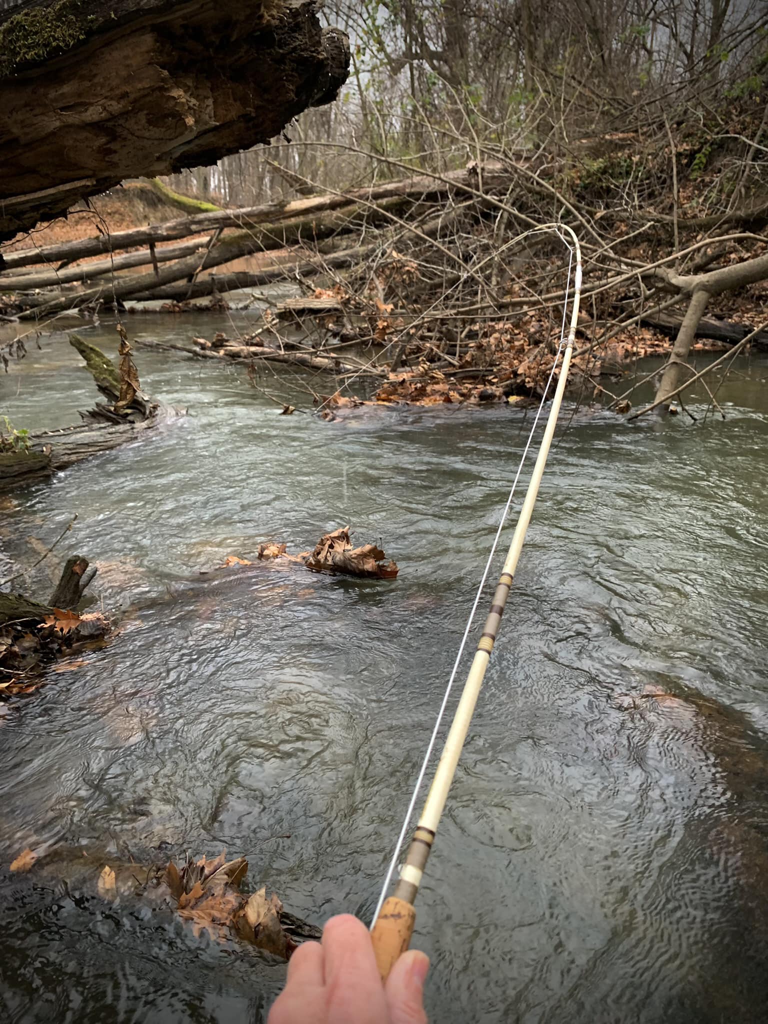 black bear fly fishing fiberglass pack rod Martin Complete Kit, 8-Foot 5/6-Weight 3-Piece Fly Fishing Pole, Size 5/6 Rim-Control Reel, Pre-spooled with Backing, Line and Leader, Includes Custom Fly Tackle Assortment, Brown/Green : Sports & Outdoors They both have their place in our little world of fun–you can still bang out eight inch streamers for browns with a stiff rod and an aggressively tapered line Vintage Shakespeare Wonderod Fly Rods