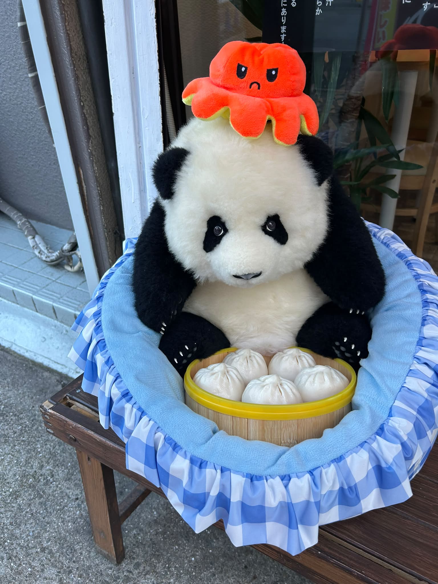 皆さんご存知かもですが、 大阪万博中国館はパンダメインでは