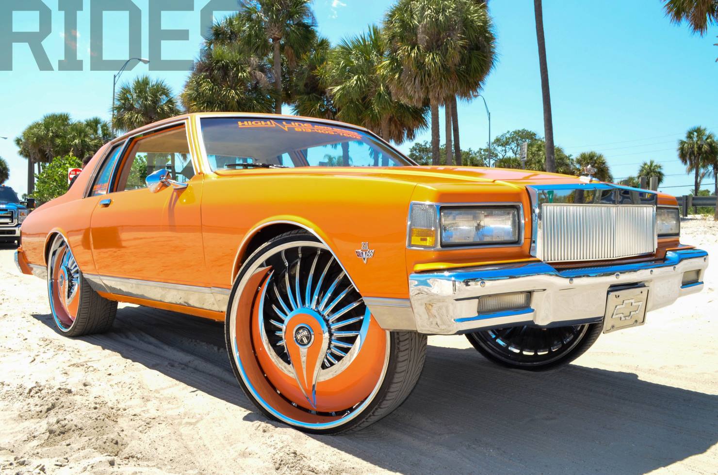 Whips - 