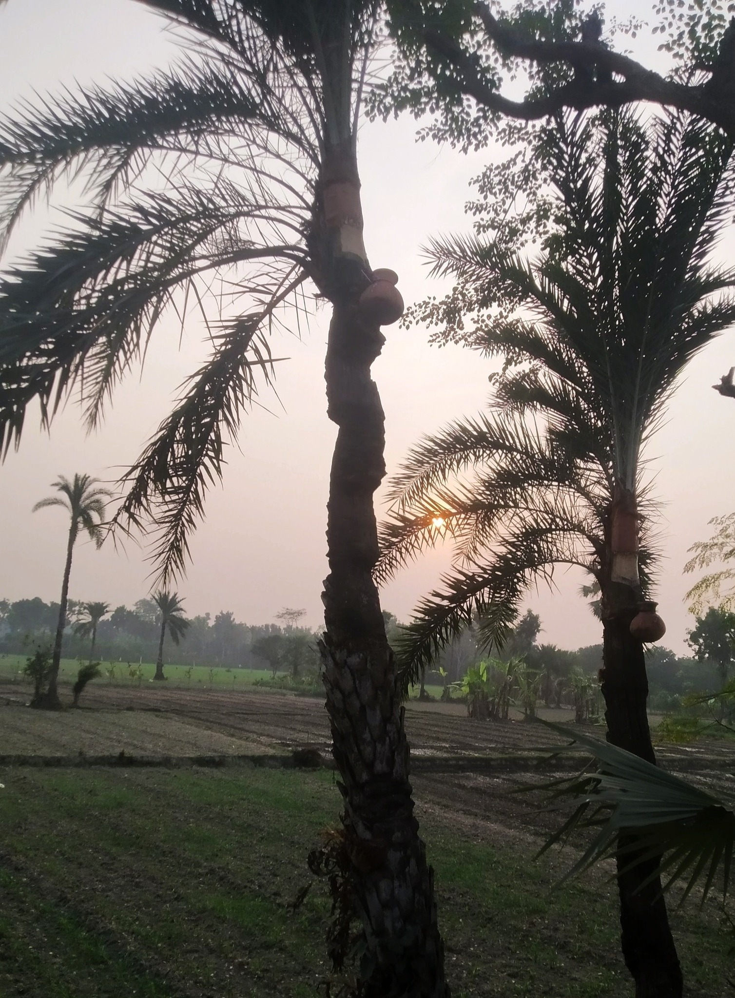 Humayun Kabir Raza